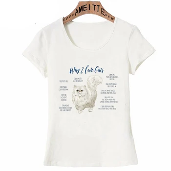 AMEITTE חדש קיץ אופנה נשים חולצת אנטומיה חתול להדפיס חולצה מצחיק, חתלתול עיצוב אישה מזדמנים צמרות היפ הופ ילדה חמודה Tees