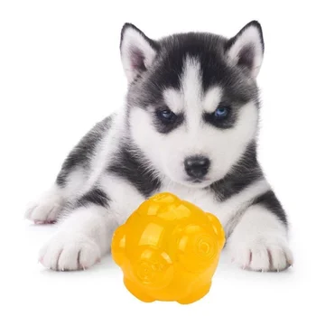 מחמד ללעוס צעצועים לכלב ניקוי שיניים מחמד אינטראקטיבי נשמע צעצוע TPE כדור קופצני חיצונית זריקת אימון התאוששות עבור הכלב.